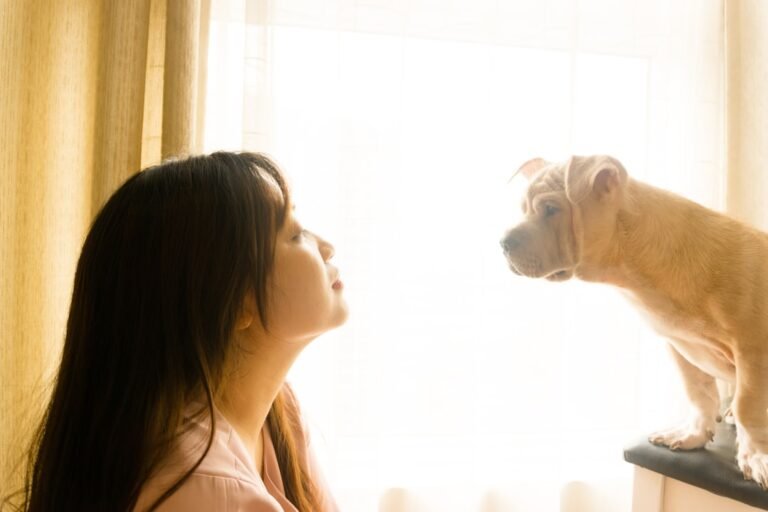 How Often Should You Walk Your Dog? A Simple Guide to Daily Exercise